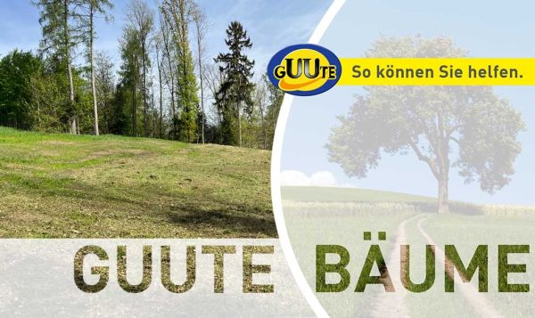 26. Unterstützungsprojekt Wald-Lehr-Insel Buchkirchen - GUUTE Bäume